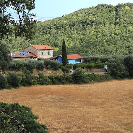 Casa Maria Villa Magliano in Toscana Eksteriør billede