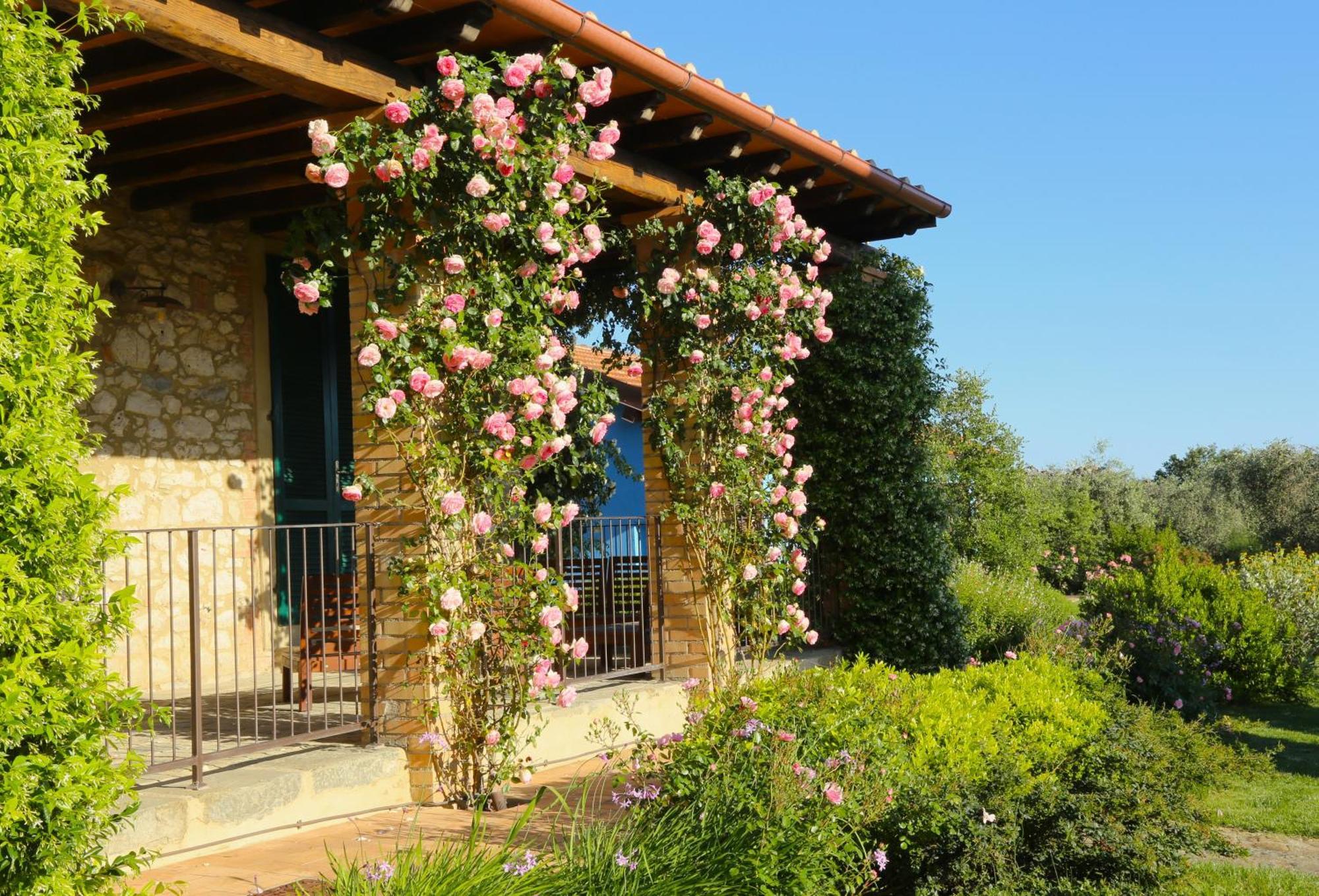 Casa Maria Villa Magliano in Toscana Eksteriør billede