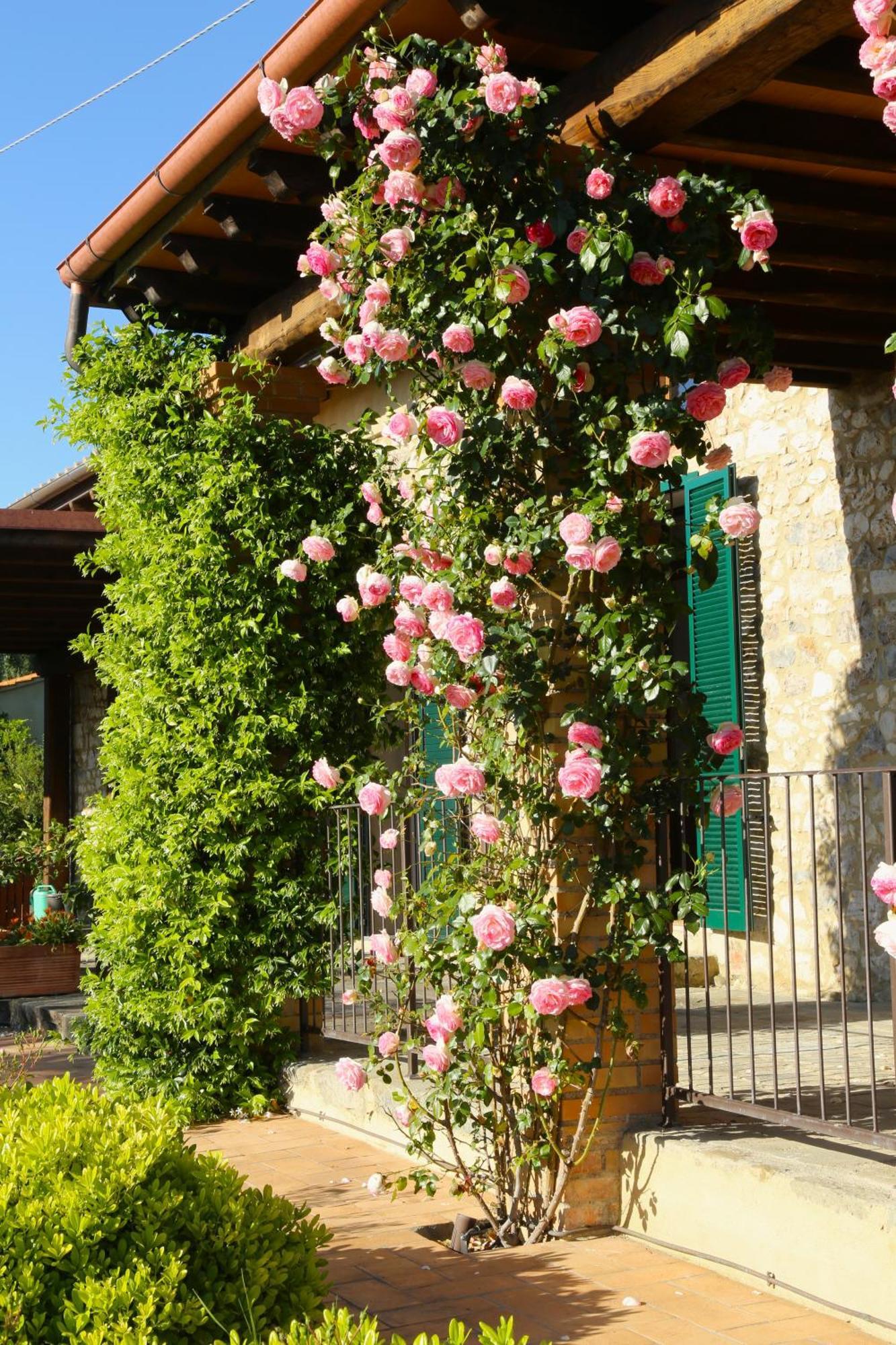 Casa Maria Villa Magliano in Toscana Eksteriør billede