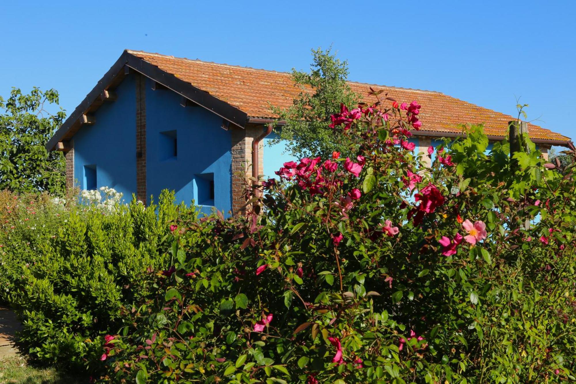 Casa Maria Villa Magliano in Toscana Eksteriør billede
