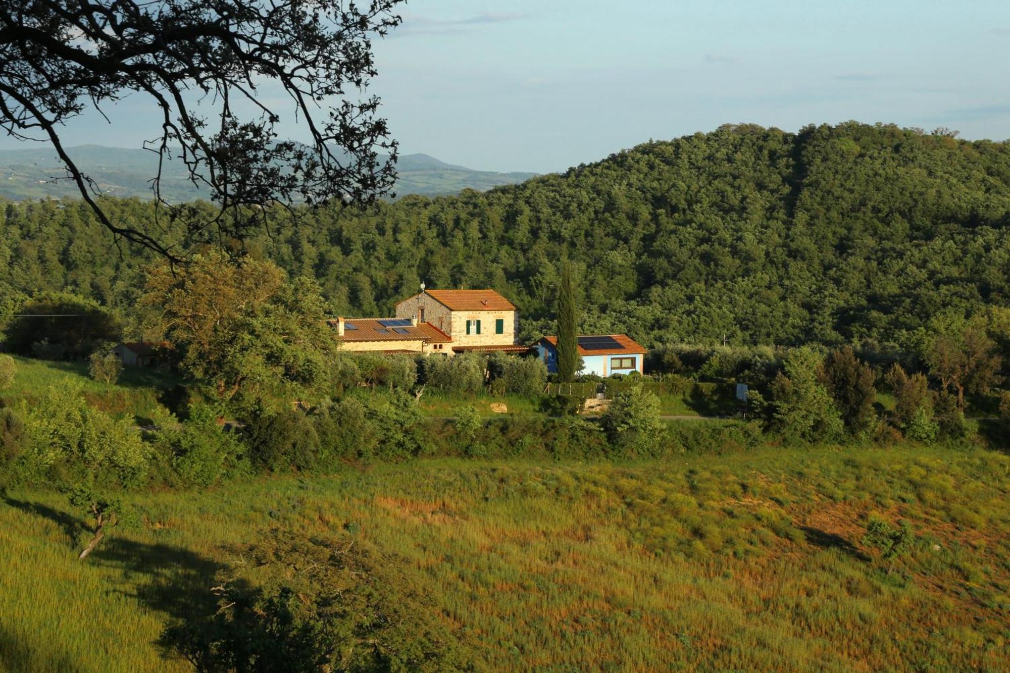 Casa Maria Villa Magliano in Toscana Eksteriør billede